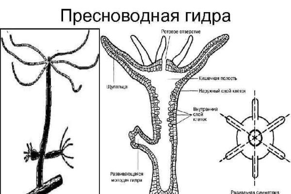 Официальный сайт blacksprut онион